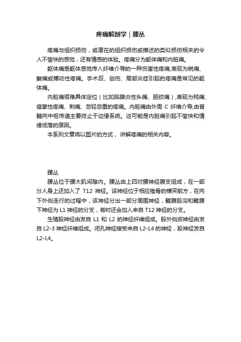 疼痛解剖学｜腰丛