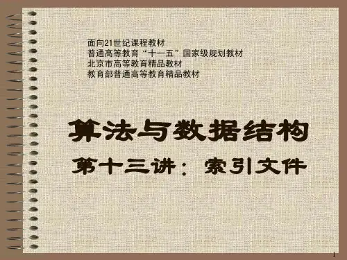 13 索引文件