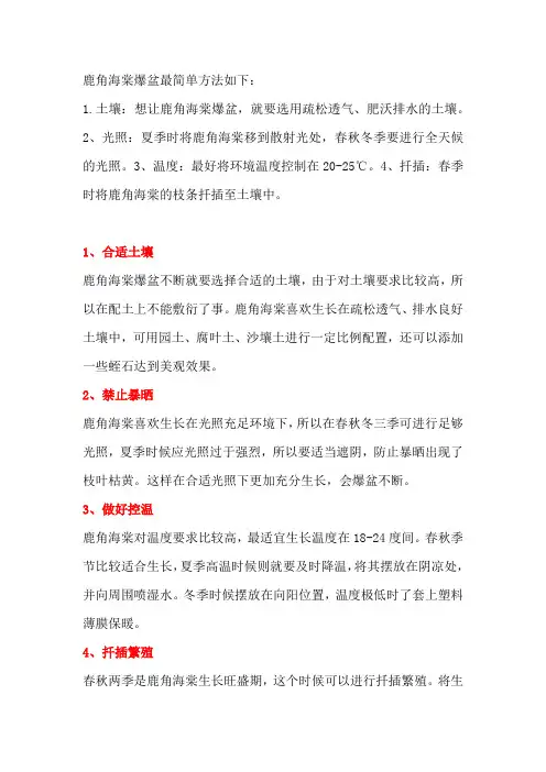 鹿角海棠爆盆最简单方法