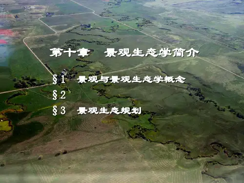 好景观生态学PPT课件