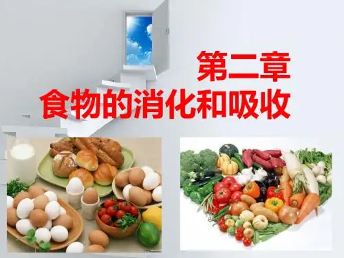 食物的消化和吸收