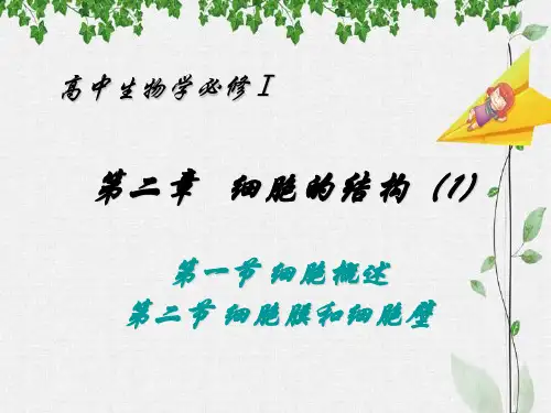 细胞概述膜和壁PPT精品课件