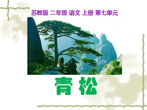 《青松》PPT课件
