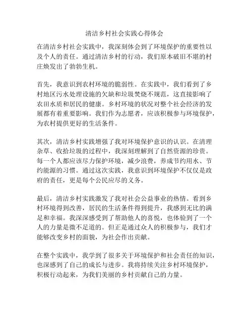 清洁乡村社会实践心得体会