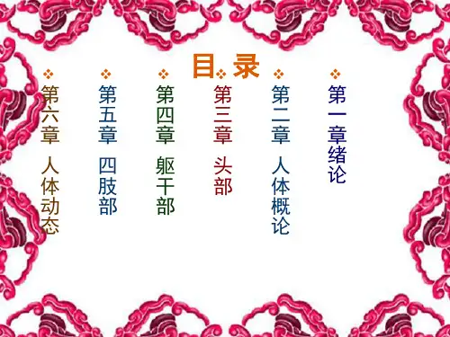 艺用人体解剖学概论