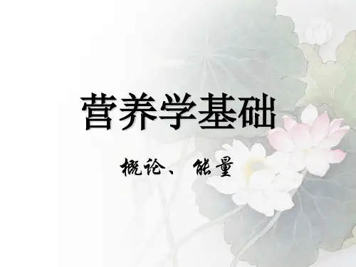 营养学基础-能量,概述