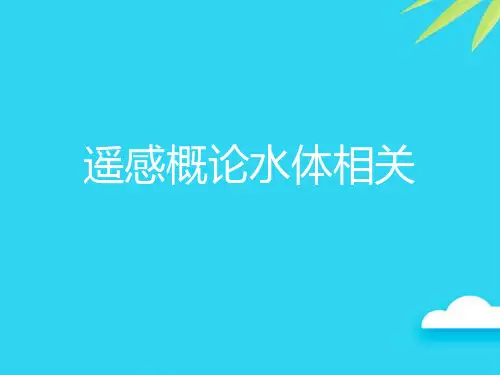 遥感概论水体相关优质PPT资料