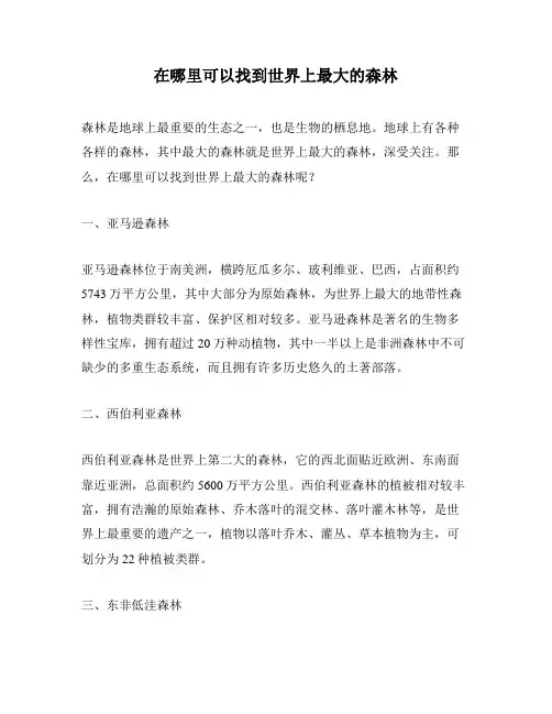 在哪里可以找到世界上最大的森林