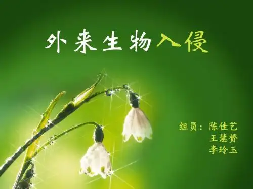 外来生物入侵PPT2016