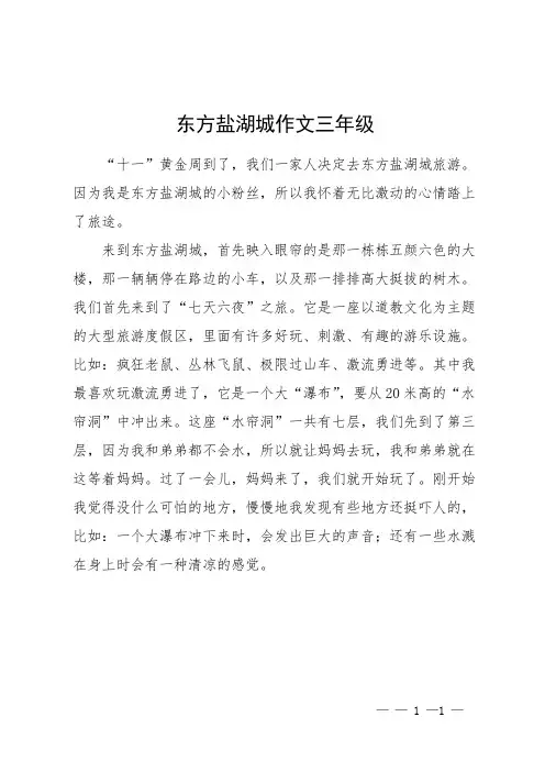 东方盐湖城作文三年级