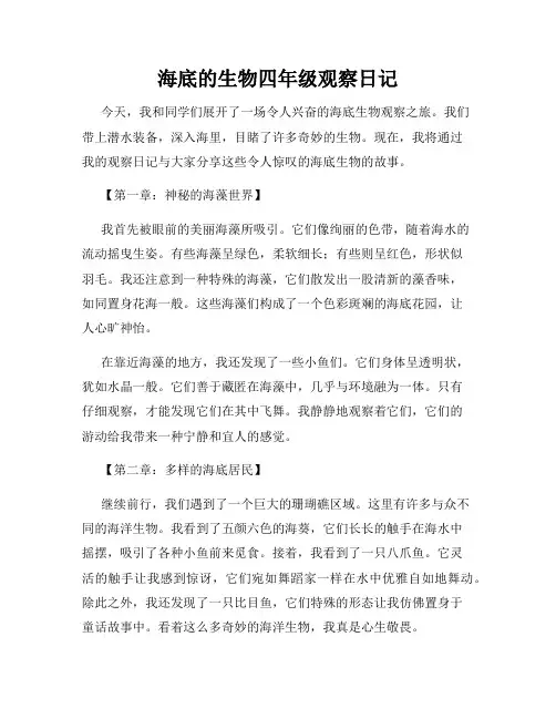 海底的生物四年级观察日记