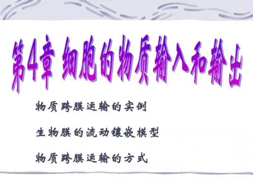 第四章第一节物质跨膜运输的实例_ppt