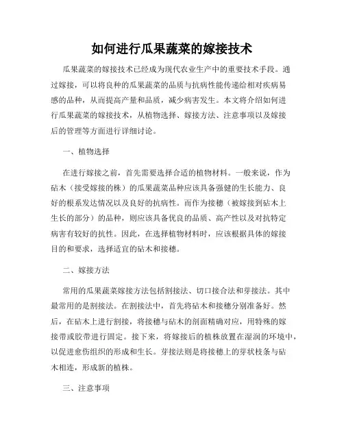 如何进行瓜果蔬菜的嫁接技术