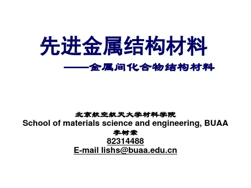 先进金属结构材料-金属间化合物2011