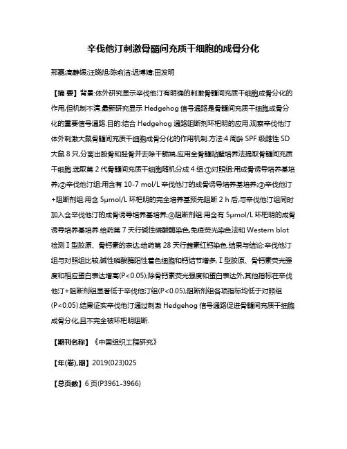 辛伐他汀刺激骨髓间充质干细胞的成骨分化