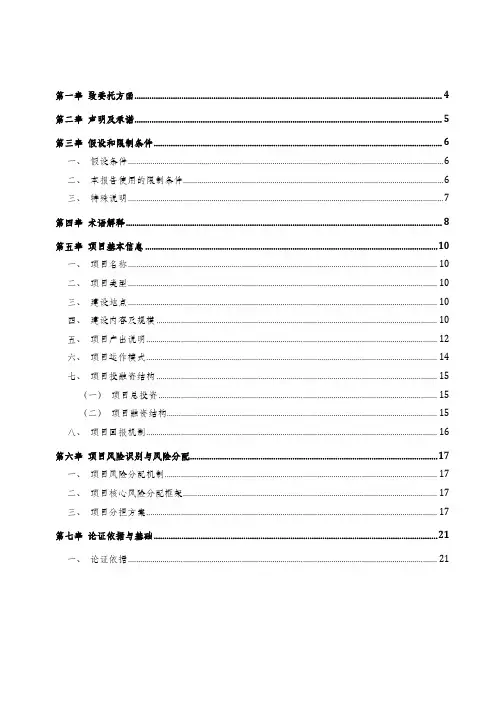 某某省某泽市某武县城区道路提升改造PPP项目财政承受能力论证报告