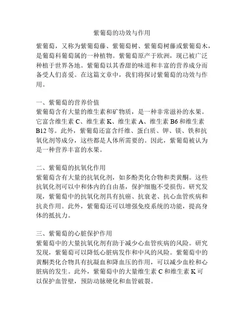 紫葡萄的功效与作用
