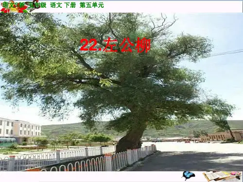 (精选)五年级语文下册第5单元22《左公柳》 优秀课件6语文S版