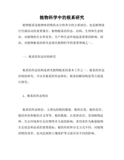 植物科学中的根系研究