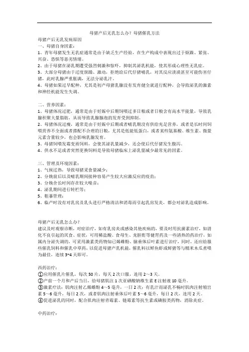 母猪产后无乳怎么办？母猪催乳方法