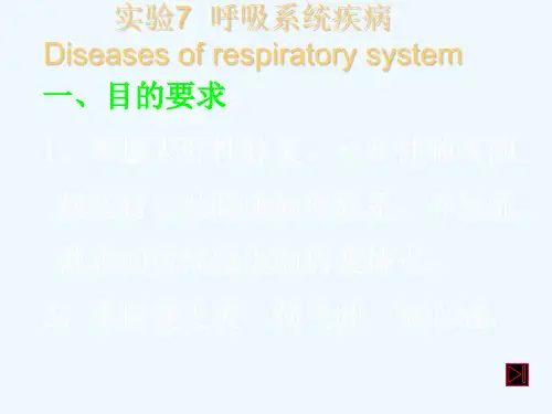 实验六呼吸系统疾病
