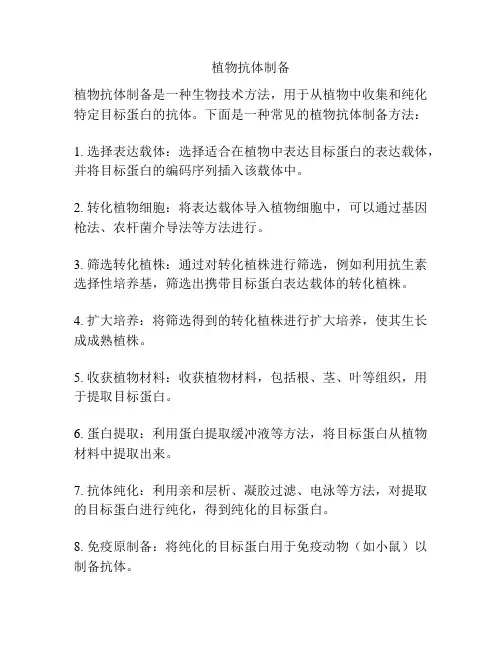 植物抗体制备