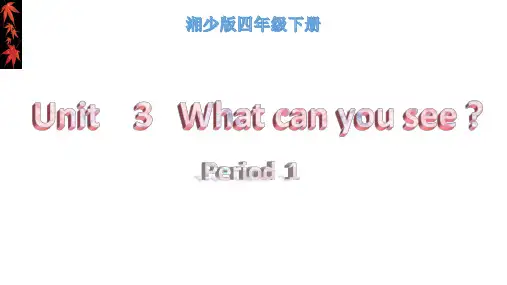 四年级英语下册课件-Unit 3 What can you see（119）-湘少版