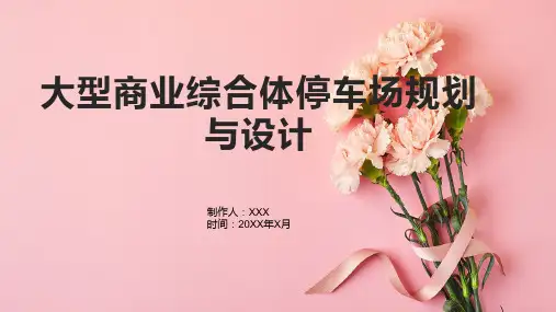大型商业综合体停车场规划与设计