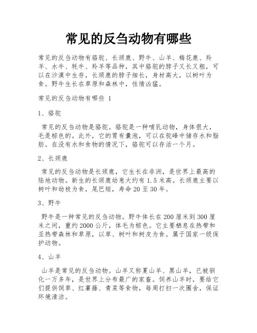 常见的反刍动物有哪些
