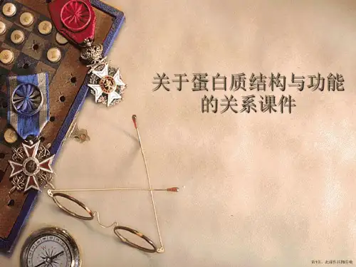 蛋白质结构与功能的关系课件课件