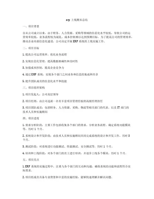 erp上线期末总结