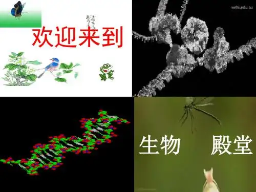 苏科版七上生物 3.5.人体的物质和能量来源于食物 复习课件   (共56张PPT)