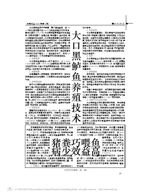 大口黑鲈鱼养殖技术