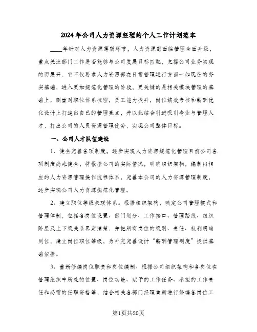 2024年公司人力资源经理的个人工作计划范本（五篇）