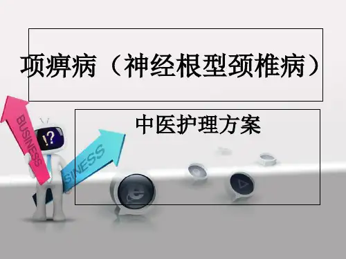 项痹病 ppt课件