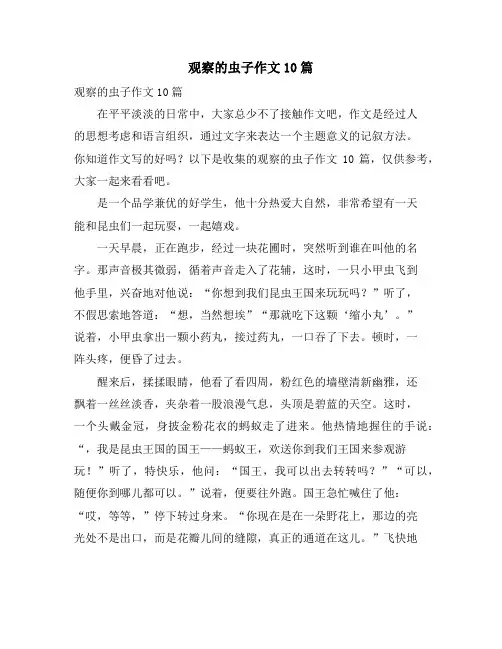 观察的虫子作文10篇