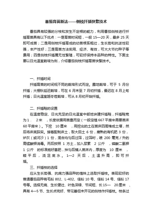 番茄育苗新法——侧枝扦插快繁技术
