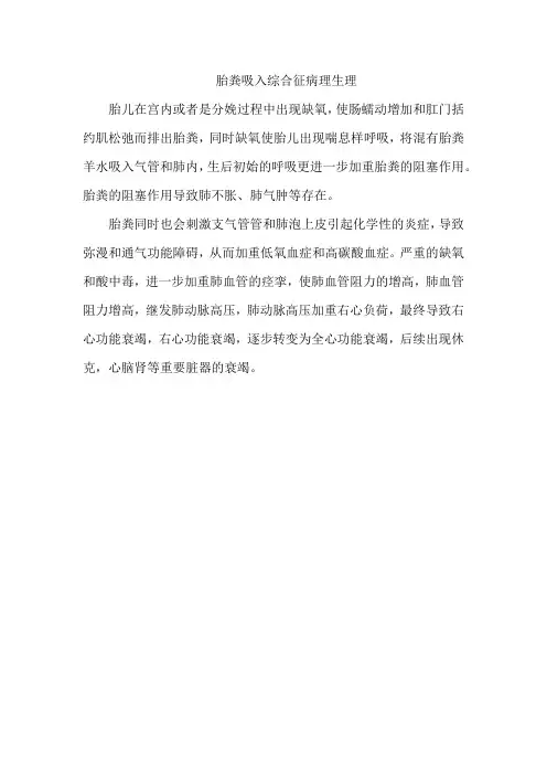 胎粪吸入综合征病理生理