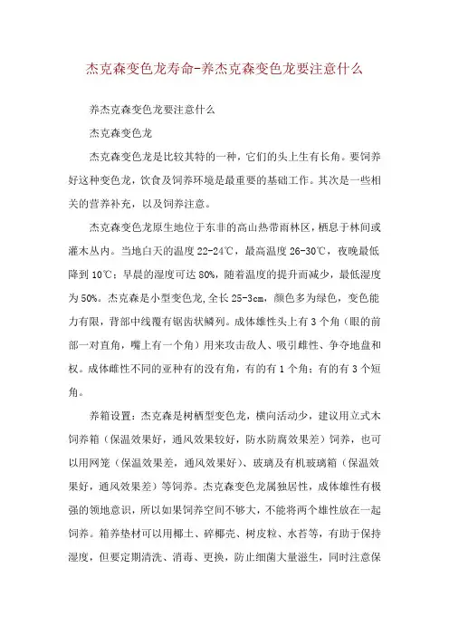 杰克森变色龙寿命-养杰克森变色龙要注意什么