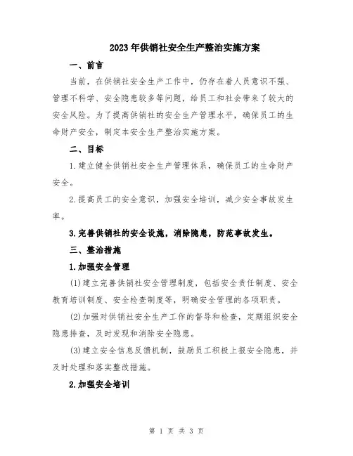 2023年供销社安全生产整治实施方案