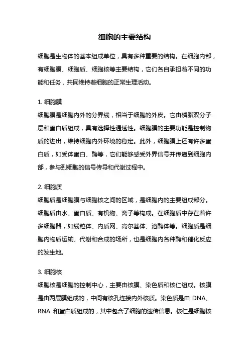 细胞的主要结构