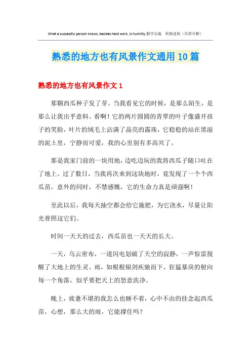 熟悉的地方也有风景作文通用10篇
