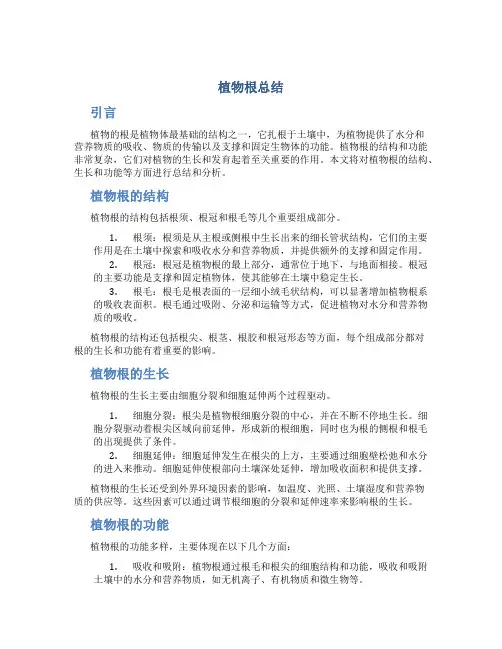植物根总结