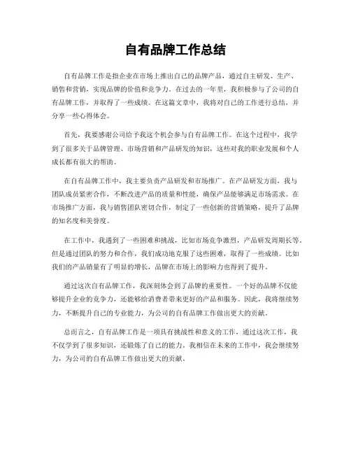 自有品牌工作总结