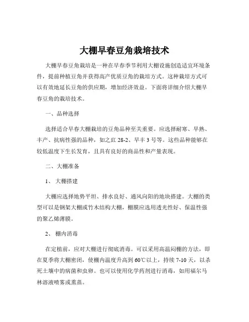 大棚早春豆角栽培技术