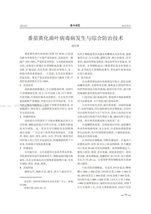 番茄黄化曲叶病毒病发生与综合防治技术