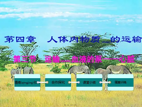 七年级生物下册 第四章 第三节 输送血液的泵——心脏