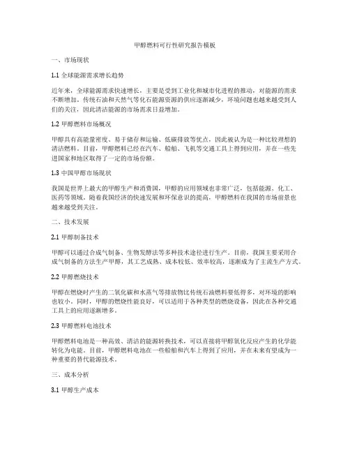 甲醇燃料可行性研究报告模板
