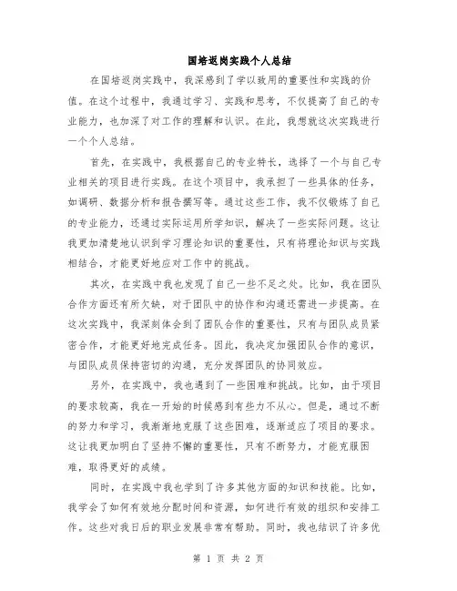 国培返岗实践个人总结