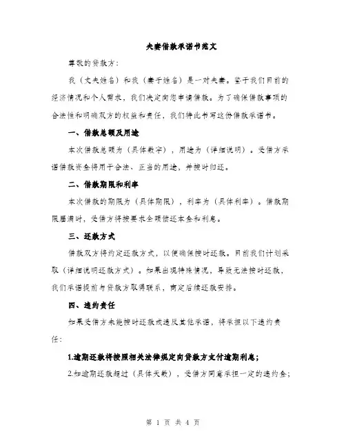 夫妻借款承诺书范文（二篇）
